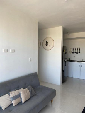 2tp-27 Apartment with 3 bedrooms near Castillo San Felipe with wifi and pool